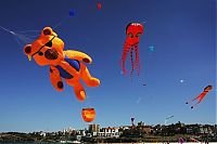 Pictures of the Day: 