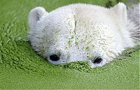 Pictures of the Day: 