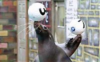 Pictures of the Day: 