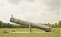Pictures of the Day: 