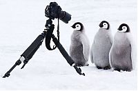 Pictures of the Day: 