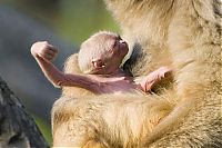 Pictures of the Day: 