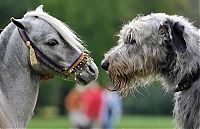 Pictures of the Day: 