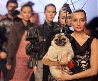 Pictures of the Day: 