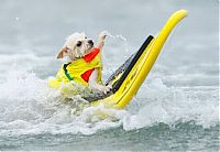 Pictures of the Day: 