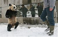 Pictures of the Day: 