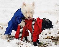 Pictures of the Day: 