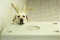 Pictures of the Day: 