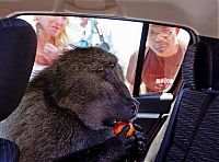 Pictures of the Day: 