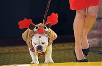 Pictures of the Day: 
