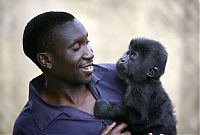 Pictures of the Day: 