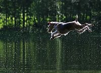Pictures of the Day: 