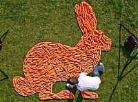 Pictures of the Day: 