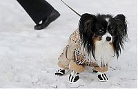 Pictures of the Day: 