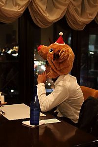 Pictures of the Day: 