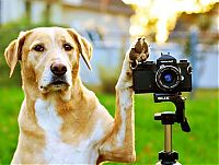 Pictures of the Day: 