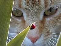 Pictures of the Day: 
