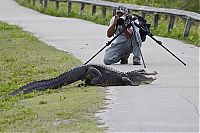 Pictures of the Day: 