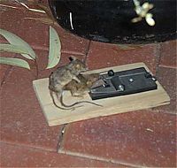 Pictures of the Day: 