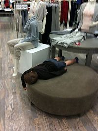 Pictures of the Day: 