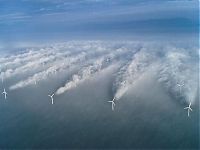 Pictures of the Day: 