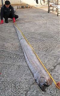 Pictures of the Day: 