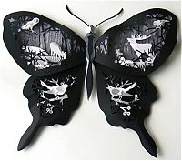 Pictures of the Day: 