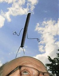 Pictures of the Day: 