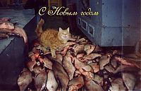 Pictures of the Day: 