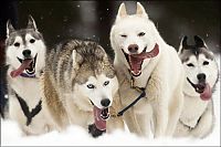 Pictures of the Day: 