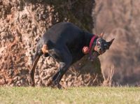 Pictures of the Day: 