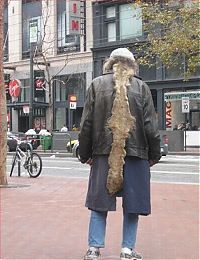 Pictures of the Day: 