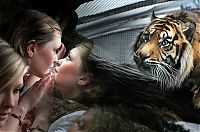 TopRq.com search results: Britain Meeting Tigers
