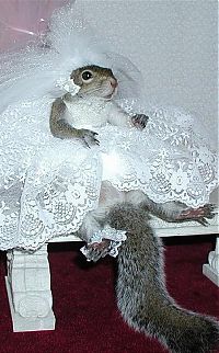 Pictures of the Day: 