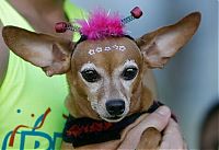 Pictures of the Day: 
