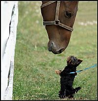 Pictures of the Day: 