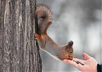 Pictures of the Day: 