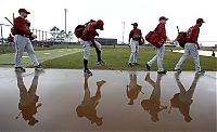 TopRq.com search results: Astors Spring Baseball