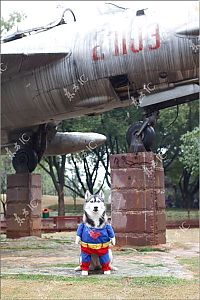 Pictures of the Day: 