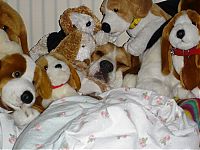 Pictures of the Day: 