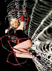 Pictures of the Day: 