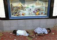 Pictures of the Day: 