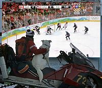 Pictures of the Day: 