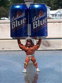 Pictures of the Day: 