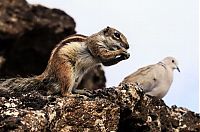 Pictures of the Day: 