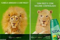 Pictures of the Day: 