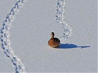 Pictures of the Day: 