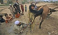 Pictures of the Day: PAKISTAN DAILY LIFE