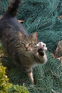 Pictures of the Day: 