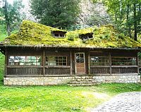 Pictures of the Day: 